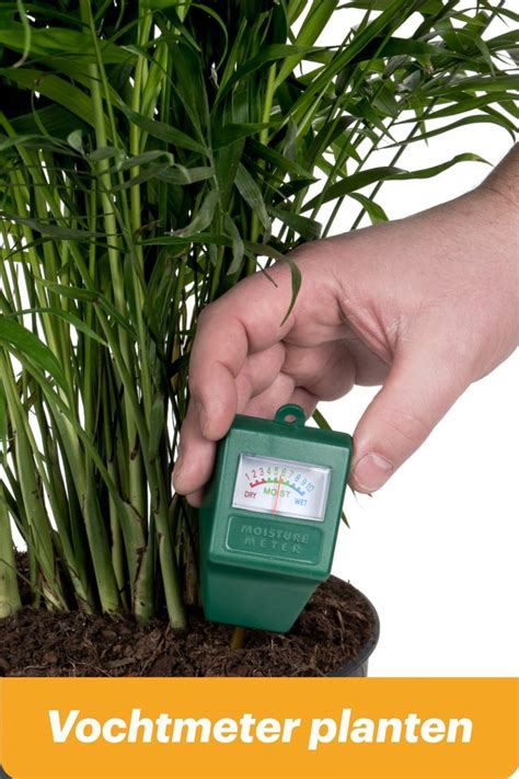 beste vochtmeter kamerplanten|hoe werkt een vochtmeter.